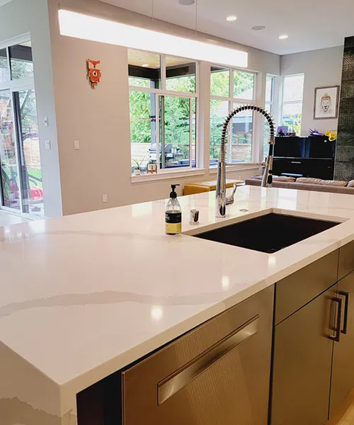 Kitchen Cleaning in Lynnwood 